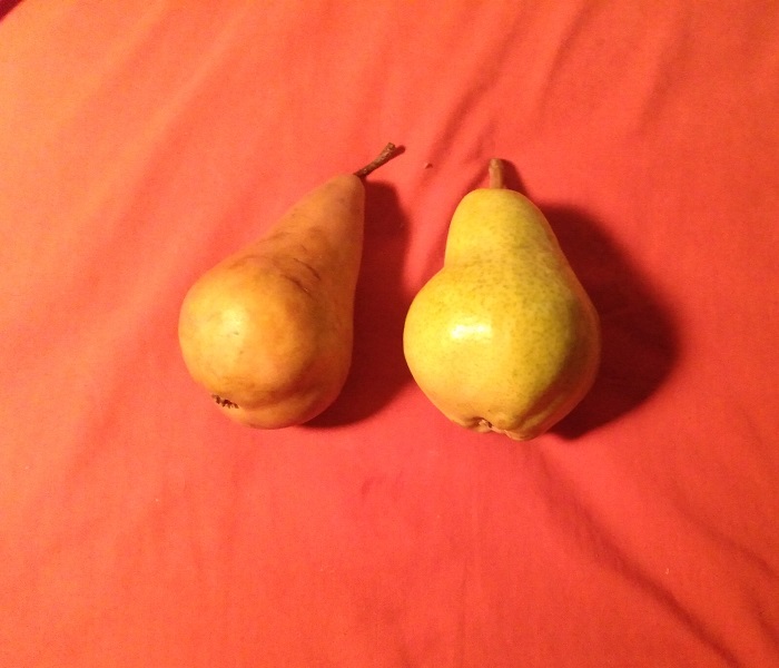 TWO PEARS