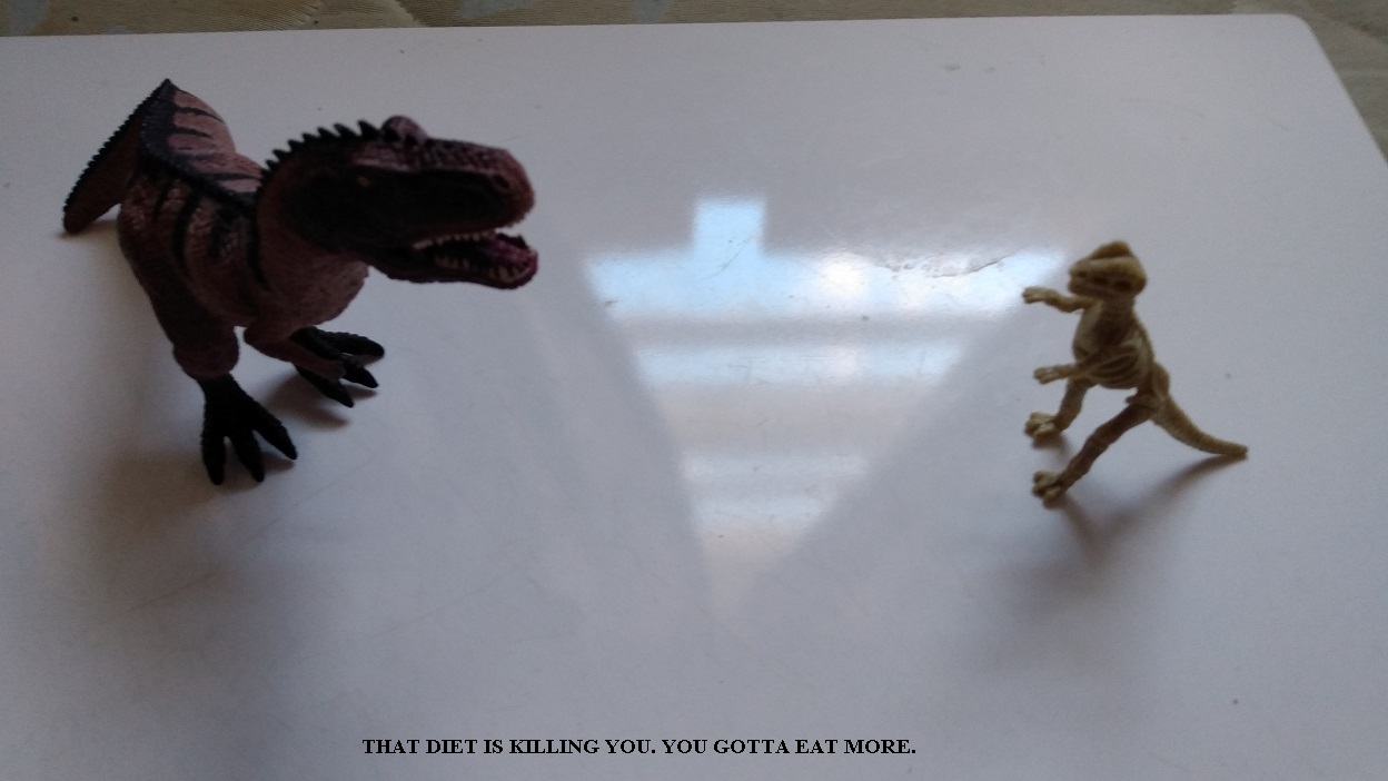 SABER TOOTH TIGERS EATING CHOCOLATE