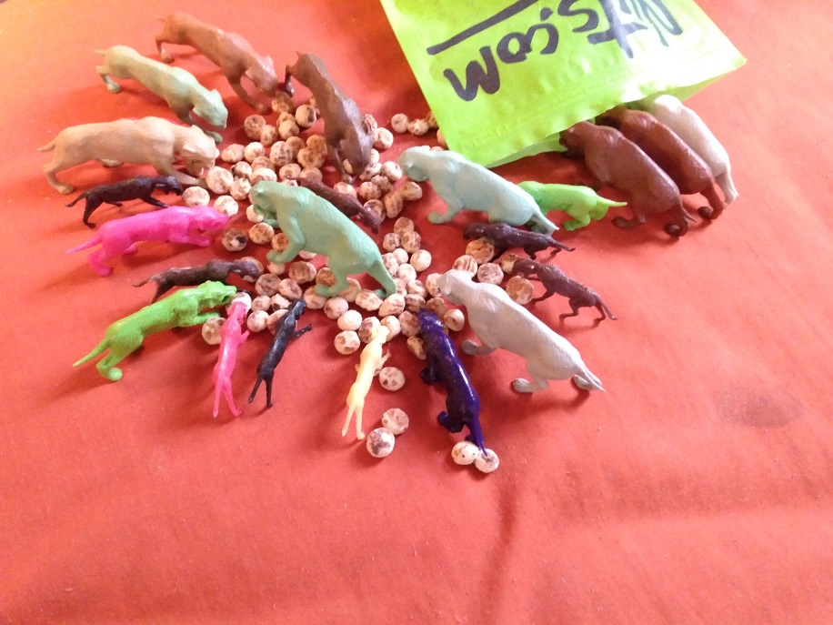 PACK OF SMILODON EATING FROM A BAG OF TIGER NUTS