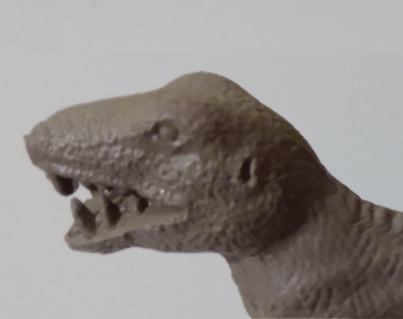 HEAD OF LARGE MARX TYRANNOSAURUS REX