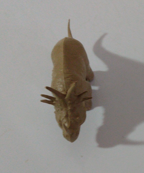TAN STYRACOSAURUS