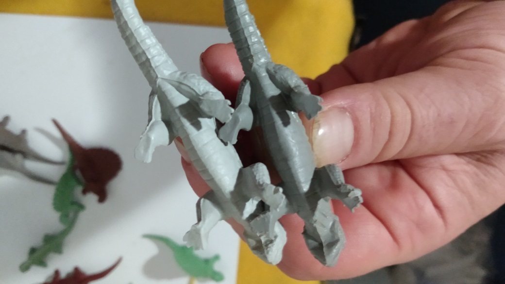 UNDERSIDE OF MARX DIMETRODONS SHOWING DIFFERENCES