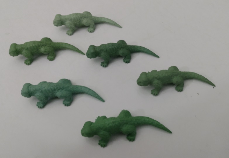 SIX GREEN CYNOGNATHUS