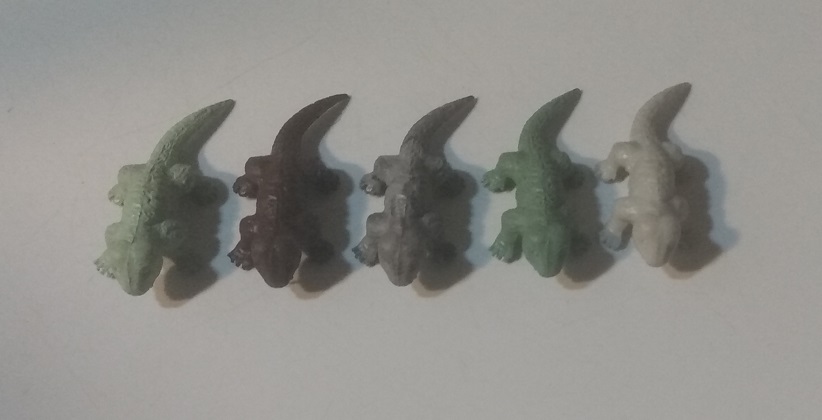 DULL MARX CYNOGNATHUS RAINBOW