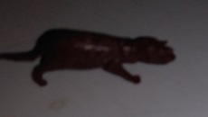 SMALL HOLLOW MPC LIKE