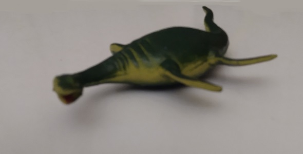 PLESIOSAURUS