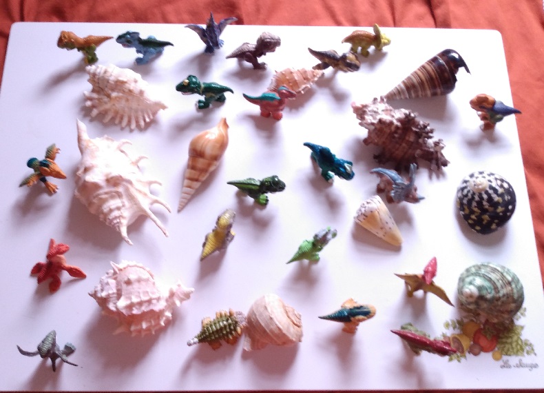 DINO FROZ DINOSAURS ARE ENJOYING BEING AMONG THE SHELLS.