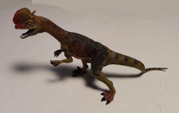 HAOMSJ DILOPHOSAURUS