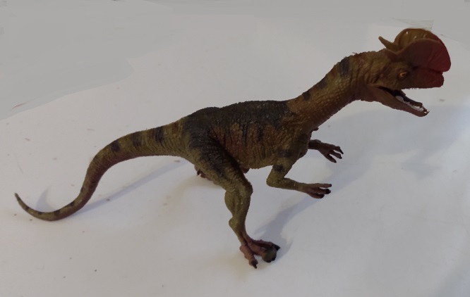 HAOMSJ DILOPHOSAURUS