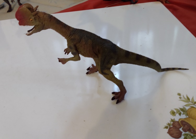 HAOMSJ DILOPHOSAURUS