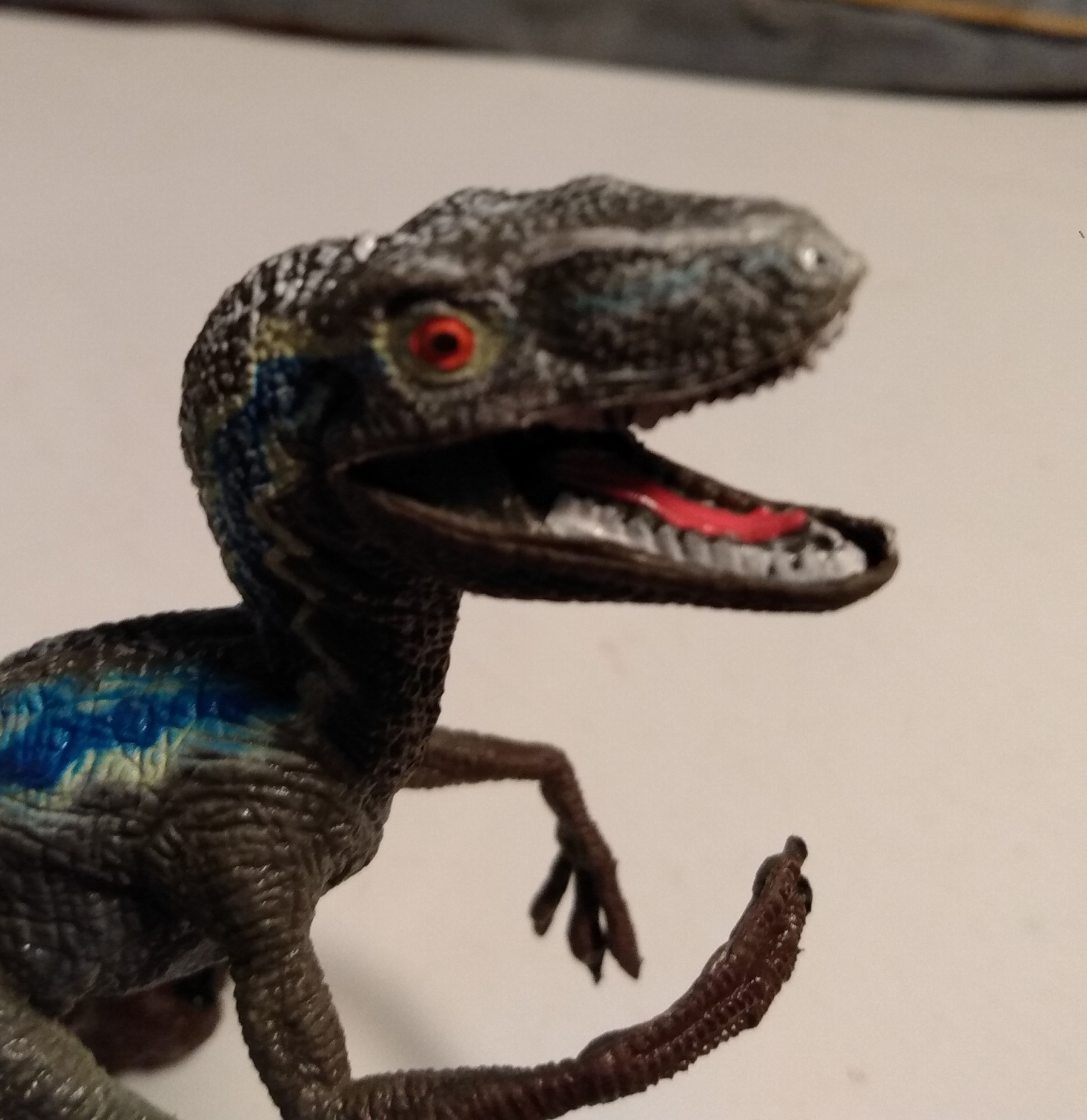 HAOMSJ VELOCIRAPTOR