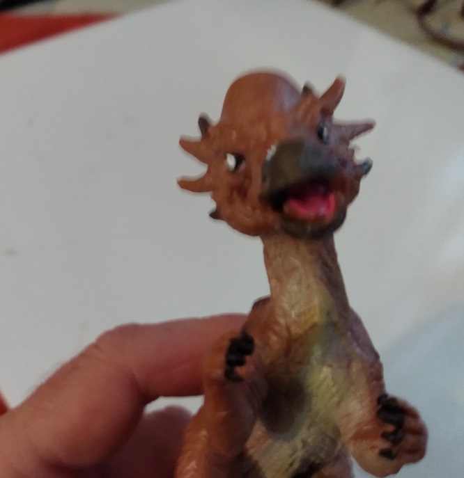 HAOMSJ PACHYCEPHALOSAURUS
