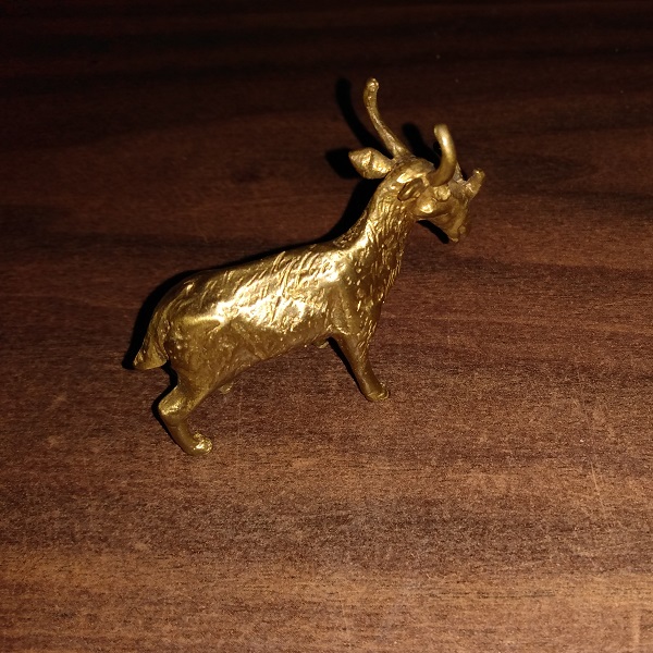 SMITHSONIAN LANIER SYNDYOCERAS