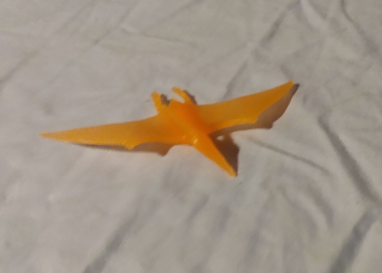 TRANSLUCENT PTERRANDON