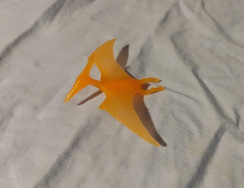 TRANSLUCENT PTERRANDON