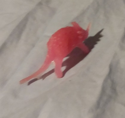 TRANSLUCENT STYRACOSAURUS