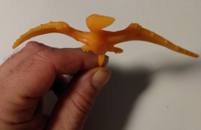 MATUTANO RHAMPHORHYNCHUS