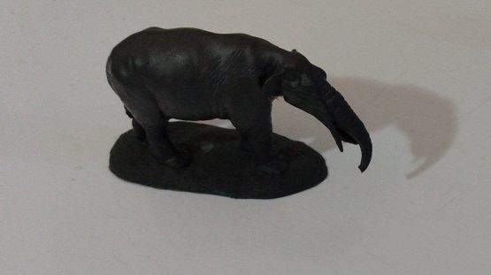 GUMPOTHERIUM ANGUSTIDENS