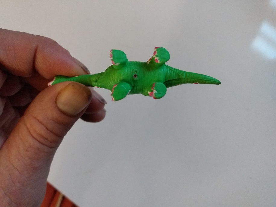 BRACHIOSAURUS UNDERSIDE