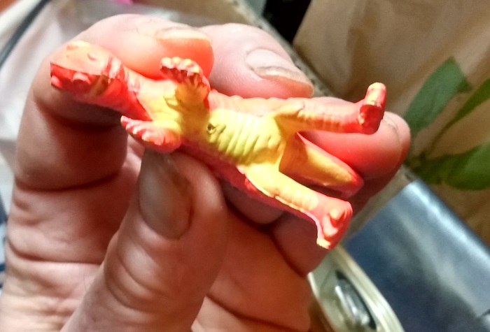 TYRANNOSAURUS UNDERSIDE