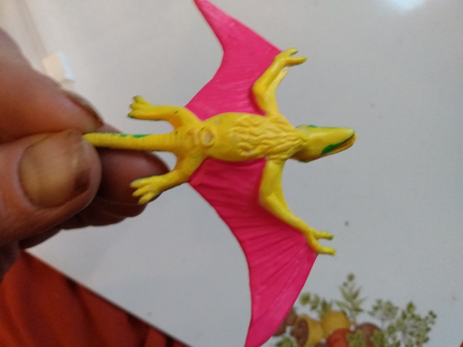 DIMORPHODON UNDERSIDE