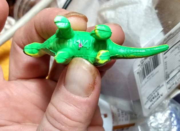 BRONTOSAURUS UNDERSIDE