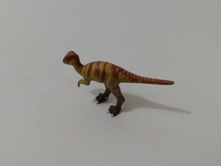 Australian Museum dinosaur figure