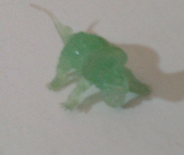 GREEN TRANSPARENT DINOSAUR