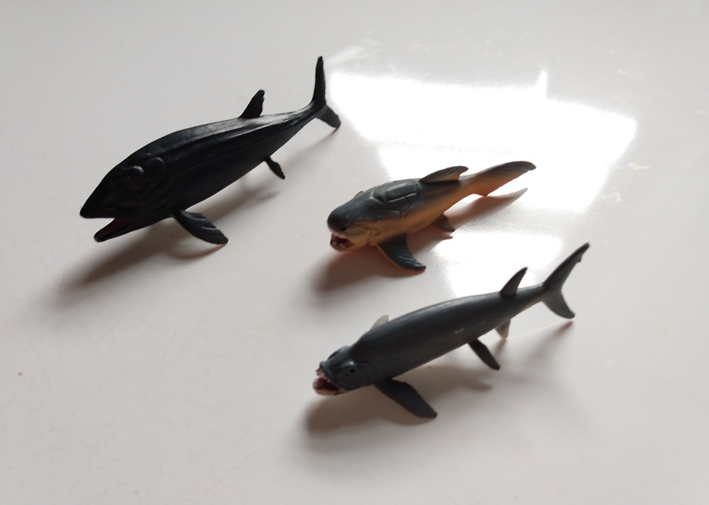 RCOMG CAMBRIAN SEA LIFE