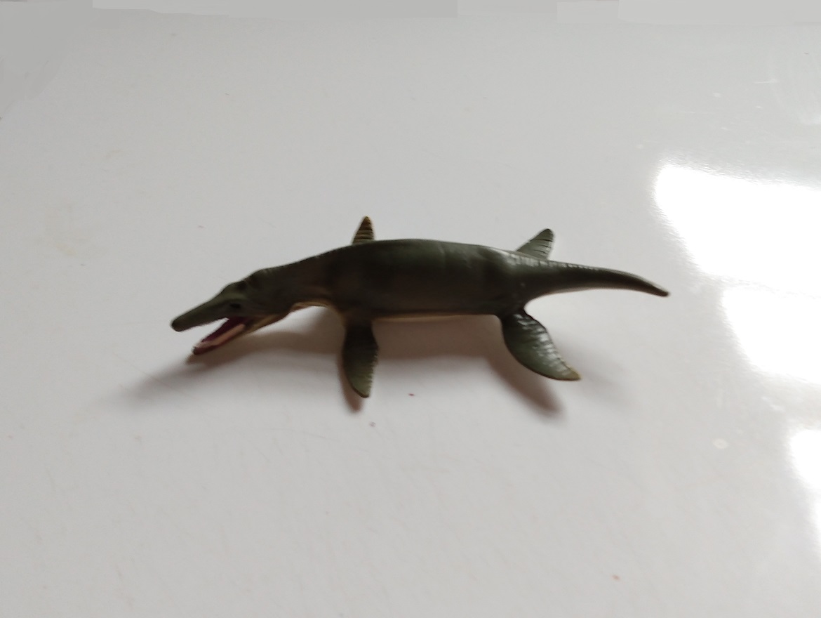 RCOMG CAMBRIAN SEA LIFE