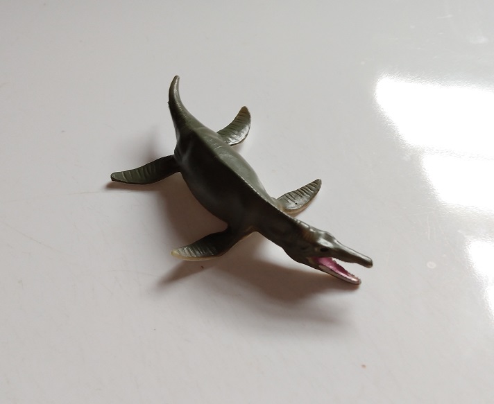 RCOMG CAMBRIAN SEA LIFE