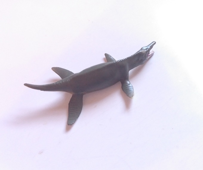 RCOMG CAMBRIAN SEA LIFE