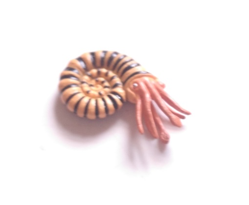 RCOMG CAMBRIAN SEA LIFE