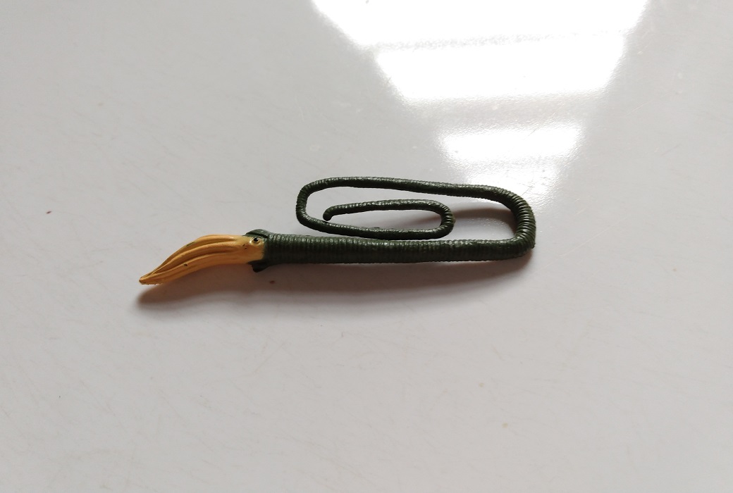 RCOMG CAMBRIAN SEA LIFE