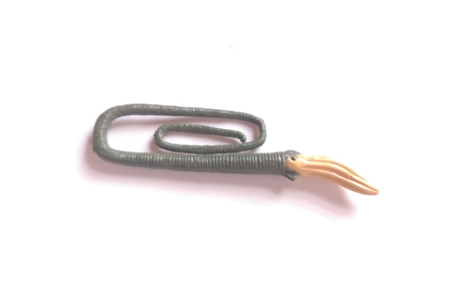 RCOMG CAMBRIAN SEA LIFE