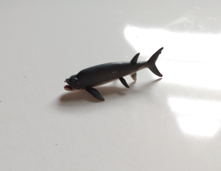 RCOMG CAMBRIAN SEA LIFE