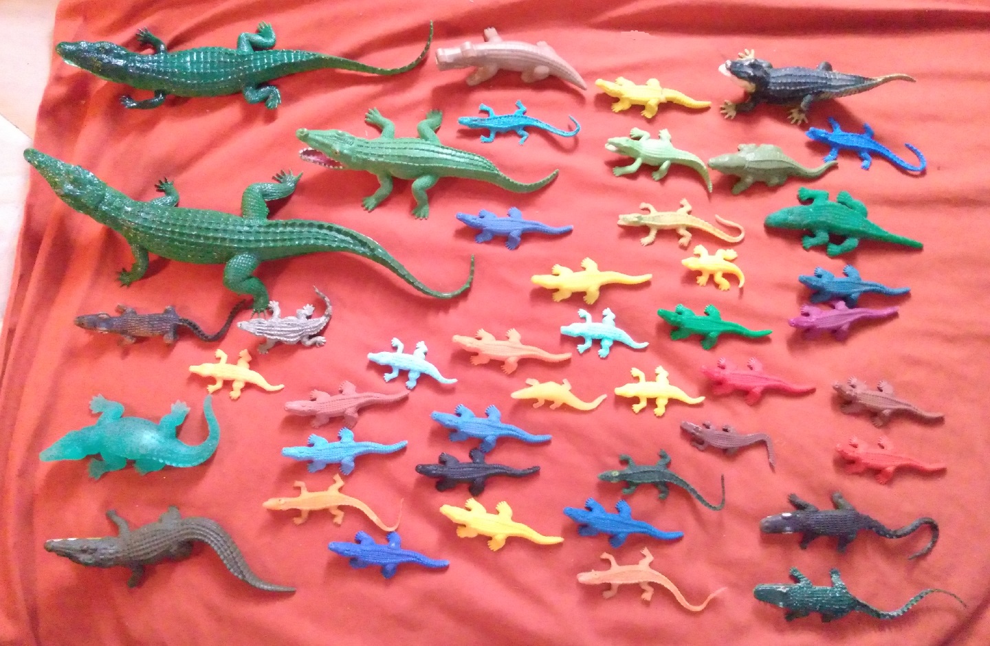 MOST UP TO DATE GATOR PICTURE