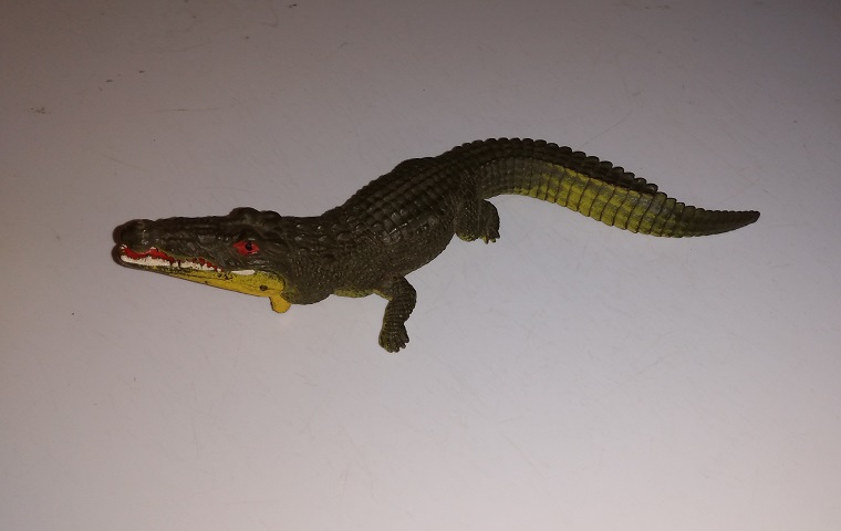 BRITAINS GATOR