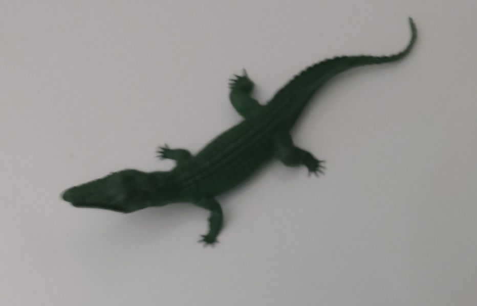 BIG RUBBER ALLIGATOR