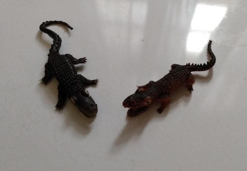RUBBER ALLIGATORS