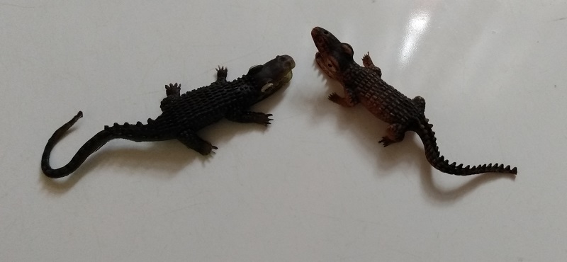 RUBBER ALLIGATORS