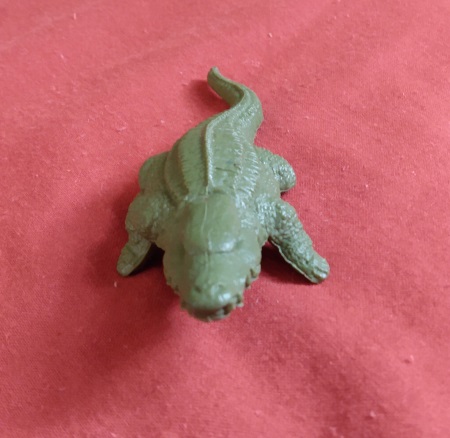 ALLIGATORS AND CROCODILES