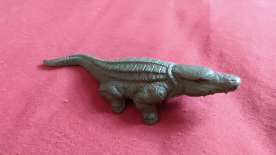 ALLIGATORS AND CROCODILES