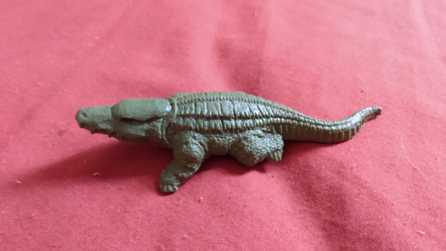 ALLIGATORS AND CROCODILES