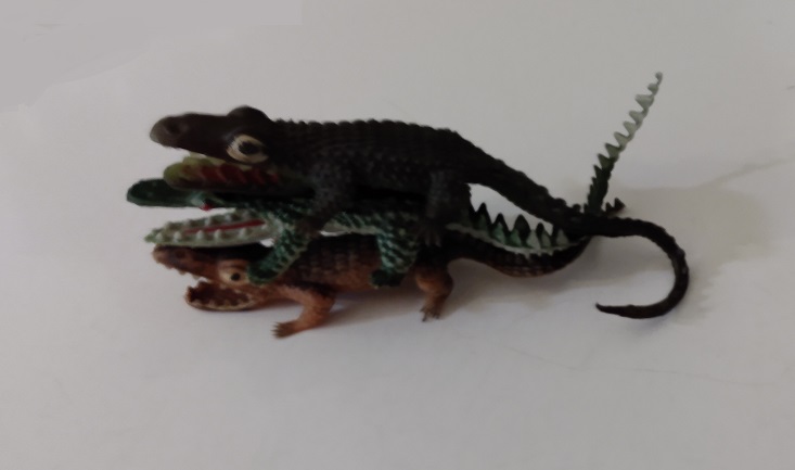 GATORS AND CROCS PLAYING