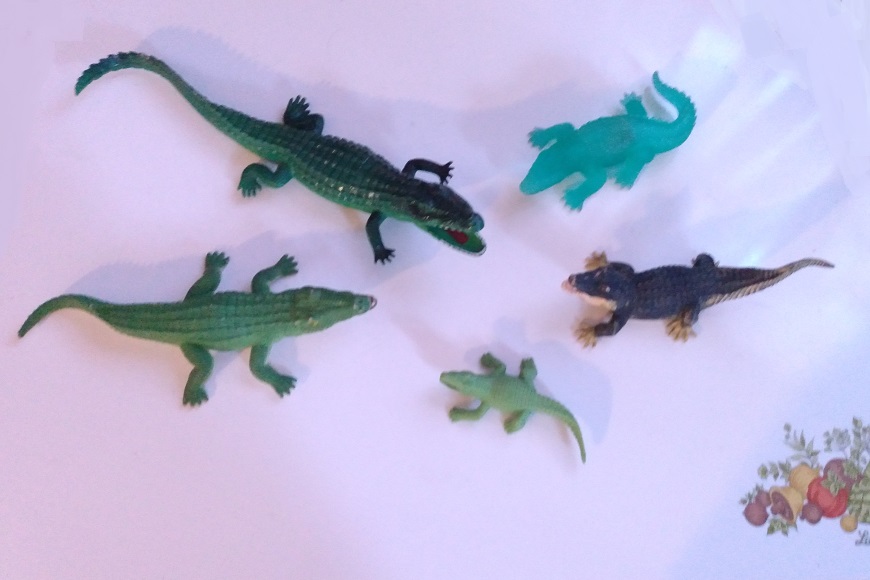 ALLIGATORS AND CROCODILES
