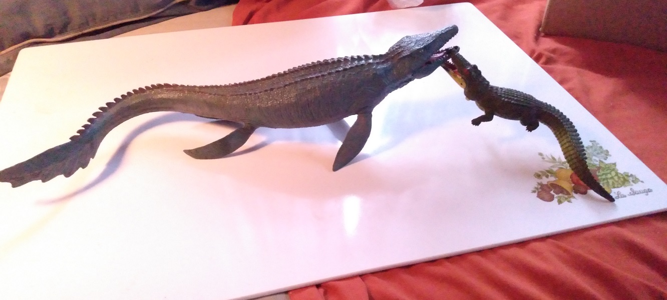 GATORS AND CROCS FIGHTING THE INTRUDER