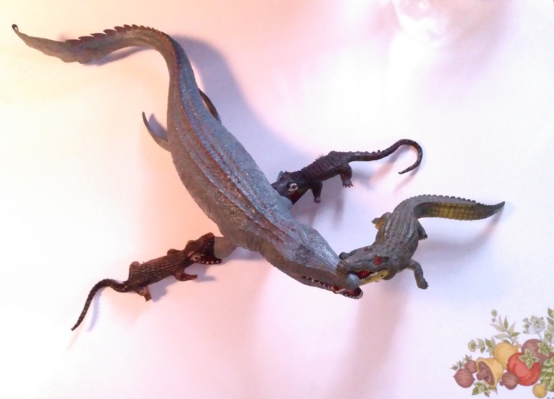 GATORS AND CROCS  FIGHTING THE INTRUDER