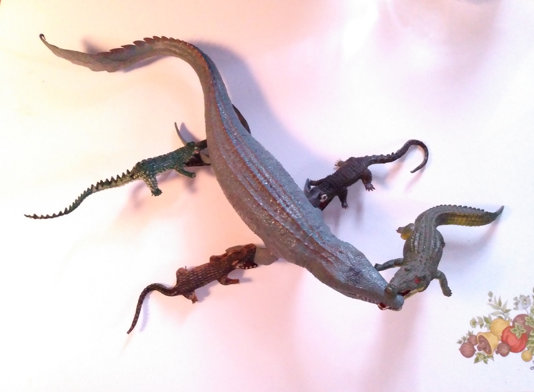 GATORS AND CROCS FIGHTING THE INTRUDER