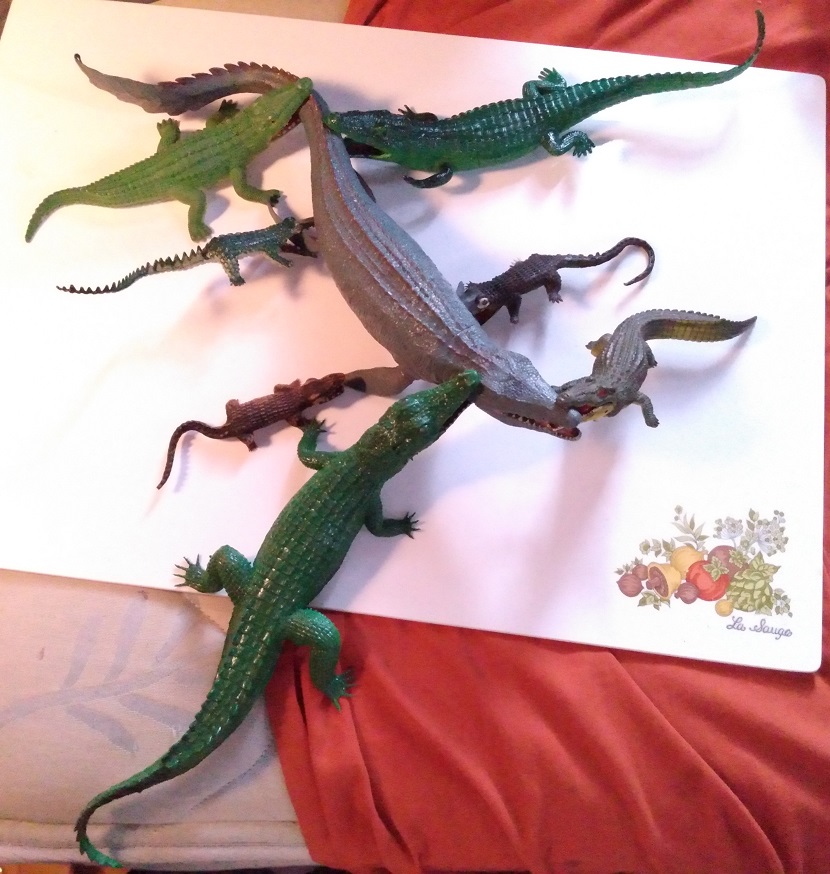 GATORS AND CROCS FIGHTING THE INTRUDER WITH SEVEN GATORS
